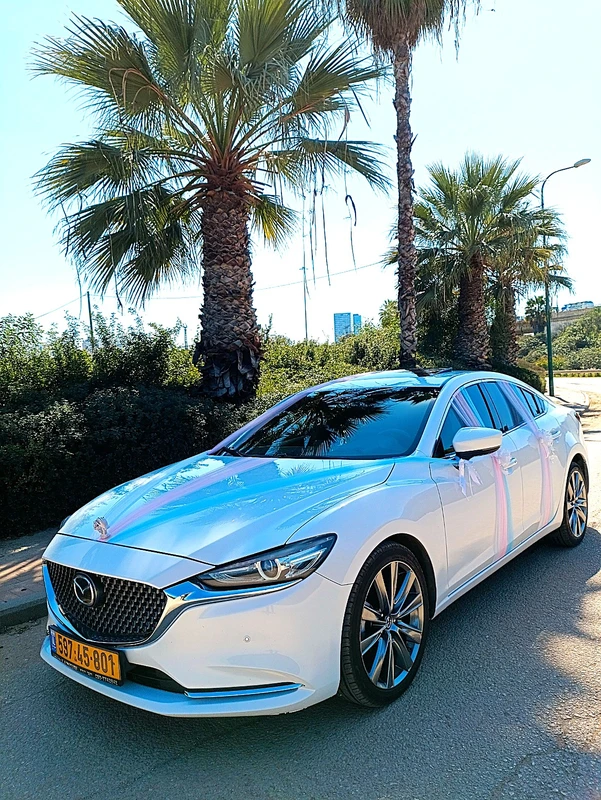 קישוט לרכב חתן כלה אביר החלומות Dream Knight