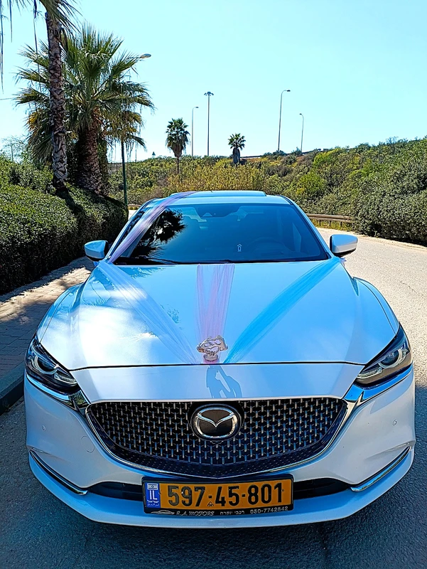 קישוט לרכב חתן כלה אביר החלומות Dream Knight