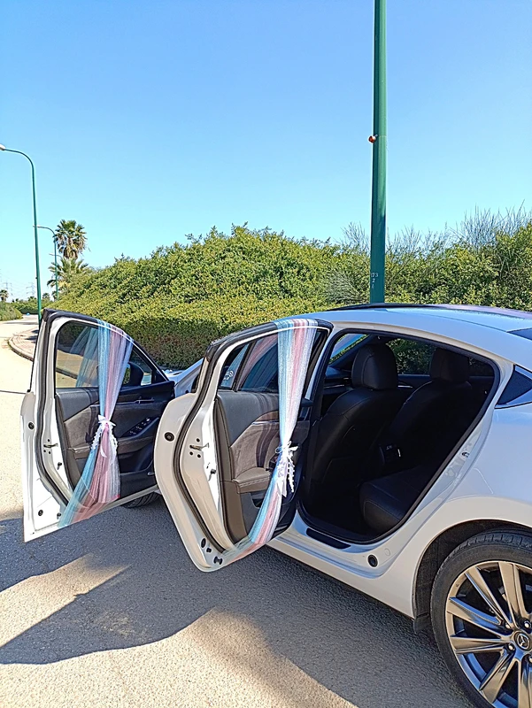 קישוט לרכב חתן כלה אביר החלומות Dream Knight