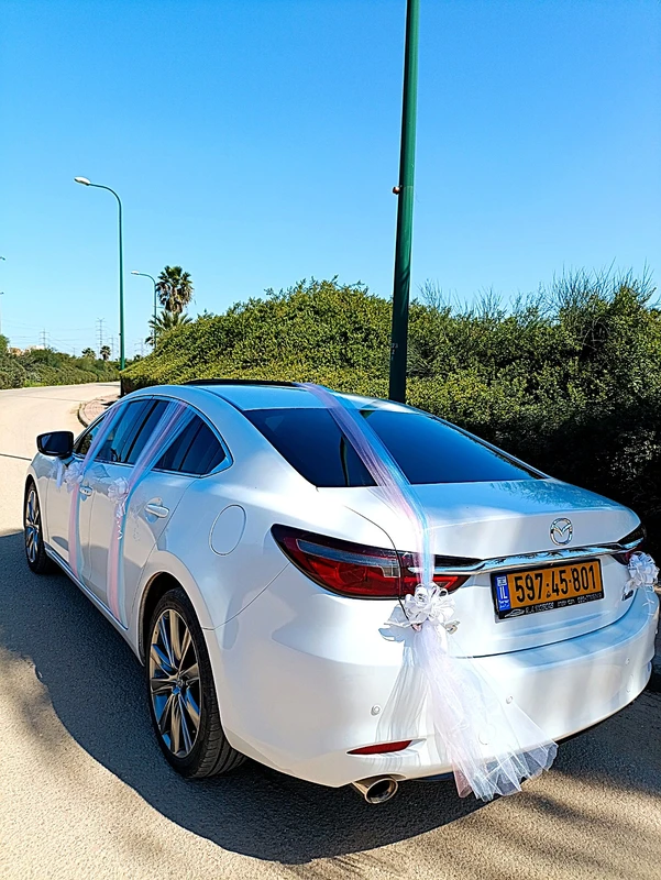 קישוט לרכב חתן כלה אביר החלומות Dream Knight