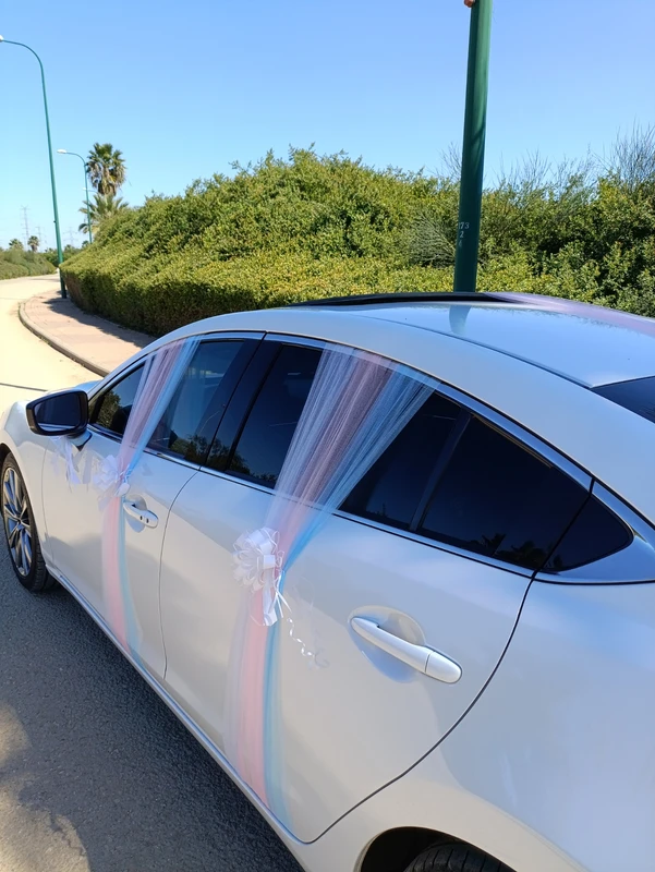 קישוט לרכב חתן כלה אביר החלומות Dream Knight