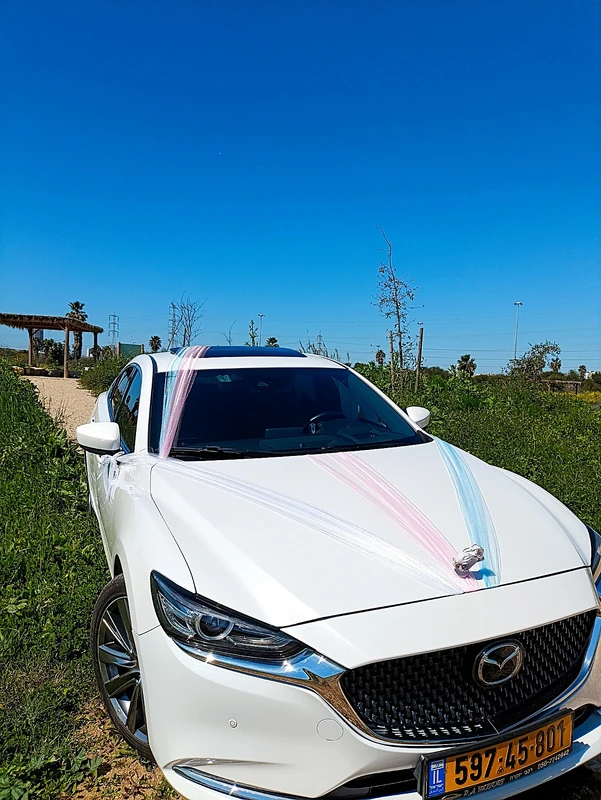 קישוט לרכב חתן כלה אביר החלומות Dream Knight