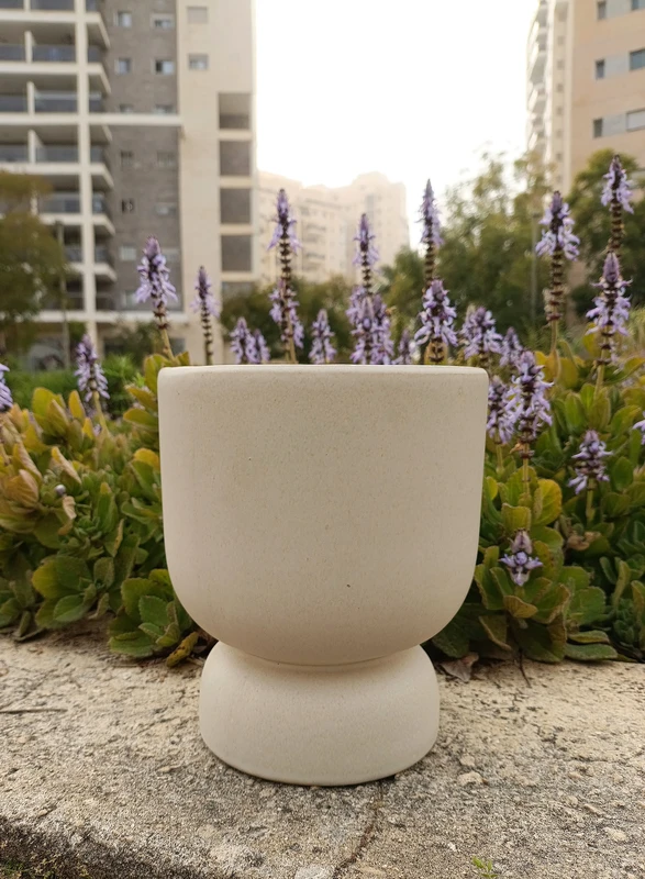 עציץ נפוליאון 15