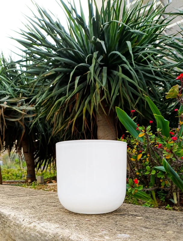 כלי זכוכית לבן 15