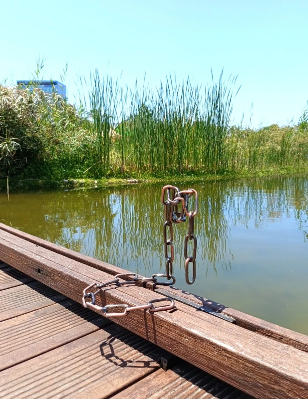 סידור פרחים ומעמד לבקבוק בצבע נחושת עתיקה עליכם לבחור יין שברצונכם