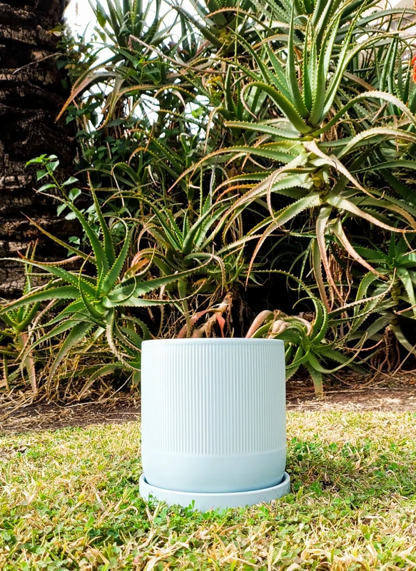 קרמיקה צילינדר 15.5