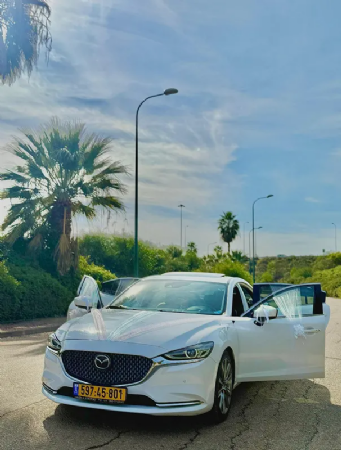 האביר הלבן White Knight