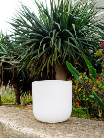 כלי זכוכית לבן 15