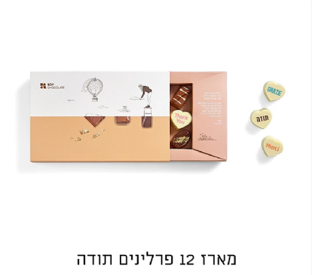 רוי שוקולד