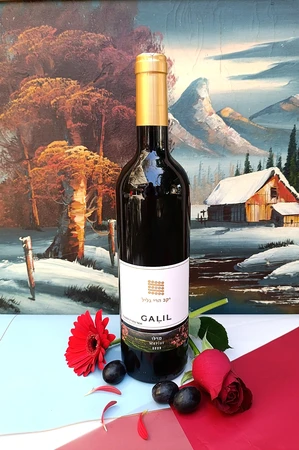 Galil יין אדום יבש