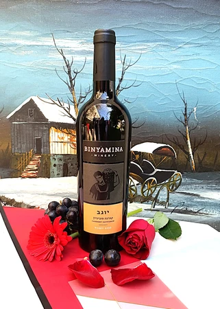 Yogev יין אדום יבש