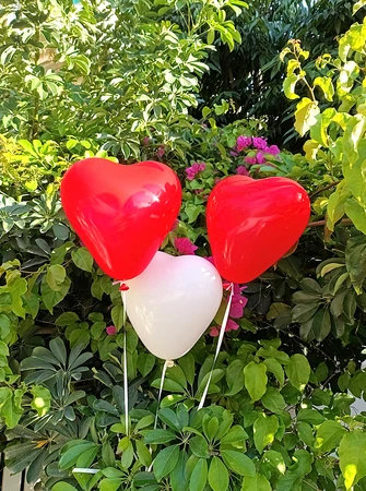 שלוש לבבות בלוני גומי