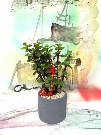 עץ הכסף כולל כלי