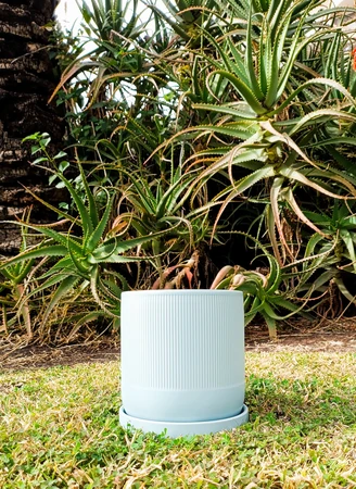 קרמיקה צילינדר 15.5